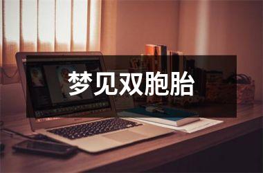 <h3>梦见双胞胎