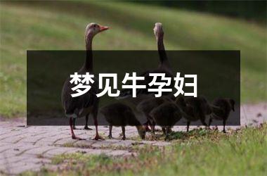 <h3>梦见牛孕妇