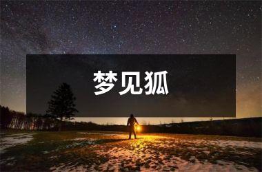 <h3>梦见狐