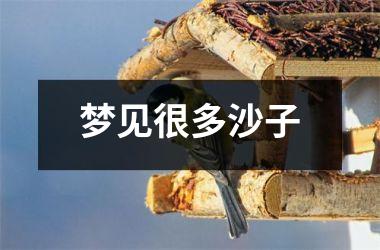<h3>梦见很多沙子