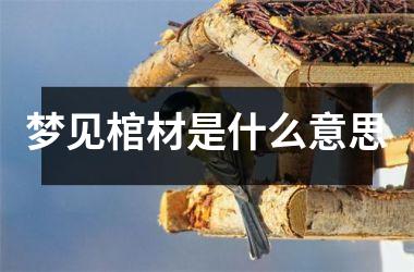 <h3>梦见棺材是什么意思