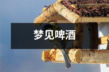 <h3>梦见啤酒