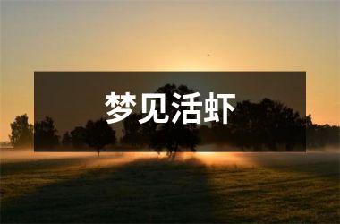 <h3>梦见活虾