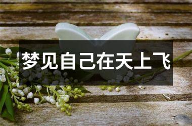 <h3>梦见自己在天上飞