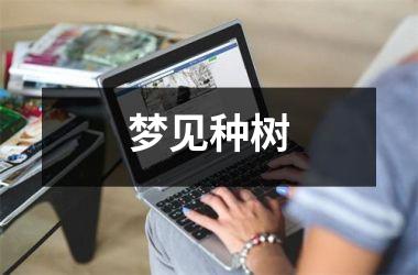 <h3>梦见种树