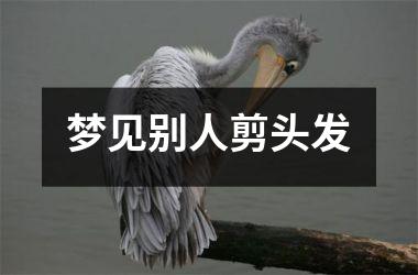 <h3>梦见别人剪头发