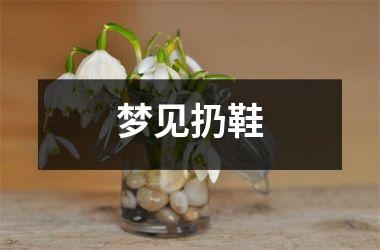 <h3>梦见扔鞋