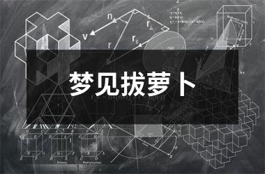 <h3>梦见拔萝卜