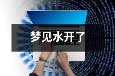 <h3>梦见水开了