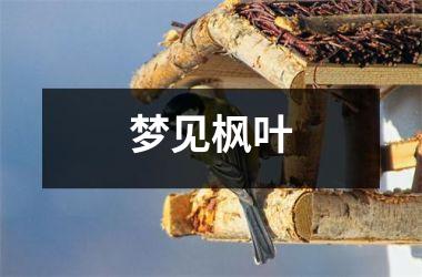 <h3>梦见枫叶