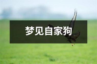 梦见自家狗