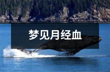 <h3>梦见月经血