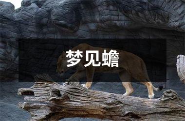 <h3>梦见蟾