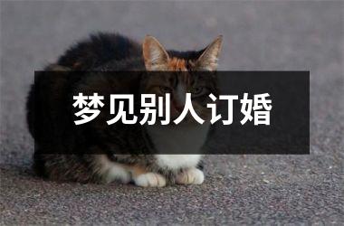 <h3>梦见别人订婚