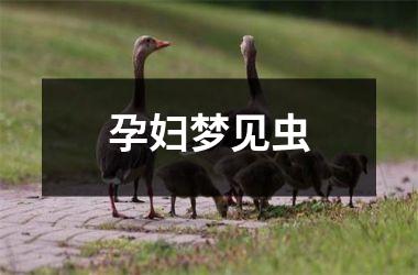 <h3>孕妇梦见虫