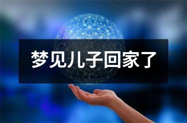 <h3>梦见儿子回家了