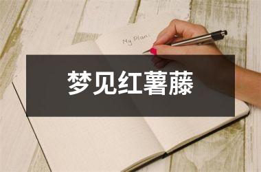 <h3>梦见红薯藤