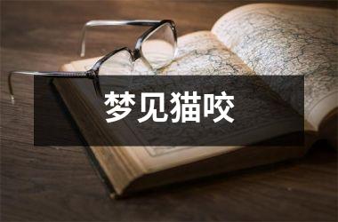 <h3>梦见猫咬
