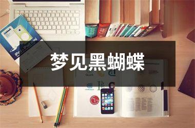 梦见黑蝴蝶