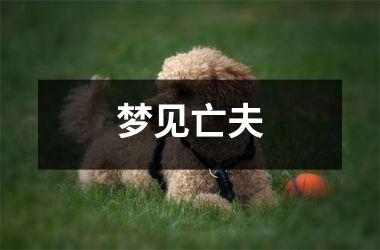 <h3>梦见亡夫