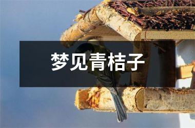<h3>梦见青桔子