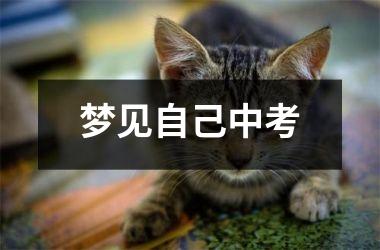 <h3>梦见自己中考