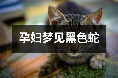 孕妇梦见黑色蛇