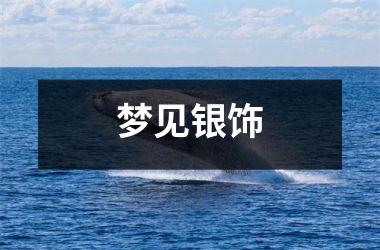 <h3>梦见银饰