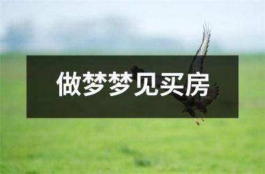 <h3>做梦梦见买房