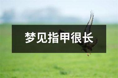 <h3>梦见指甲很长