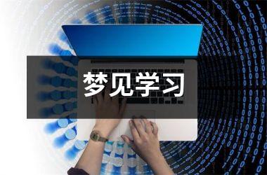 <h3>梦见学习