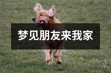<h3>梦见朋友来我家