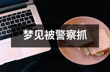 梦见被警察抓