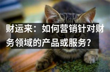<h3>财运来：如何营销针对财务领域的产品或服务？