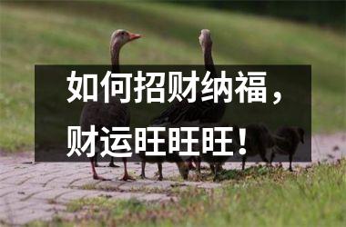 <h3>如何招财纳福，财运旺旺旺！
