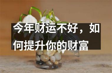<h3>今年财运不好，如何提升你的财富