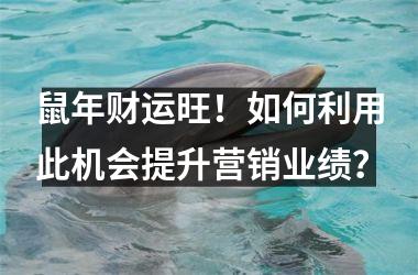 <h3>鼠年财运旺！如何利用此机会提升营销业绩？