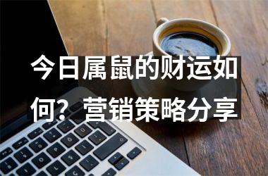 <h3>今日属鼠的财运如何？营销策略分享
