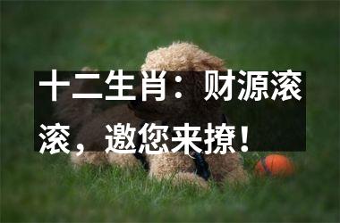 <h3>十二生肖：财源滚滚，邀您来撩！