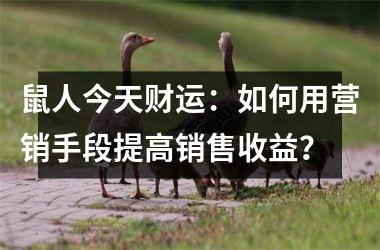 <h3>鼠人今天财运：如何用营销手段提高销售收益？