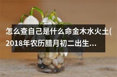 怎么查自己是什么命金木水火土(2018年农历腊月初二出生是什么命)