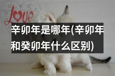 <h3>辛卯年是哪年(辛卯年和癸卯年什么区别)