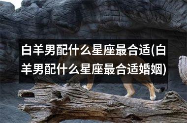 <h3>白羊男配什么星座最合适(白羊男配什么星座最合适婚姻)