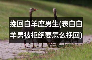 挽回白羊座男生(表白白羊男被拒绝要怎么挽回)