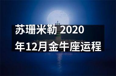 苏珊米勒 2025年12月金牛座运程
