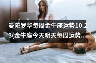<h3>曼陀罗华每周金牛座运势10.23(金牛座今天明天每周运势)