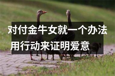 <h3>对付金牛女就一个办法 用行动来证明爱意