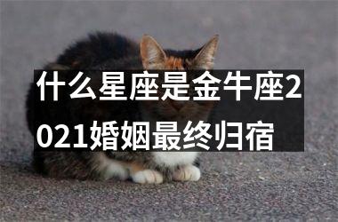 <h3>什么星座是金牛座2025婚姻终归宿