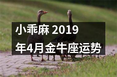 小乖麻 2019年4月金牛座运势