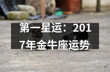 第一星运：2017年金牛座运势
